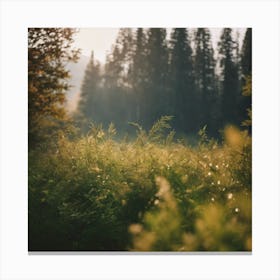 Field Of Grass Canvas Print