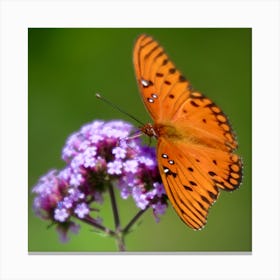 Butterfly - Orange Gulf Fratillary Canvas Print