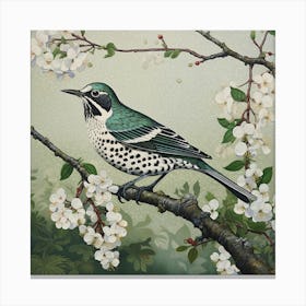 Ohara Koson Inspired Bird Painting Hermit Thrush 3 Square Canvas Print