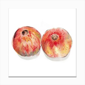 Two Pomegranates Canvas Print