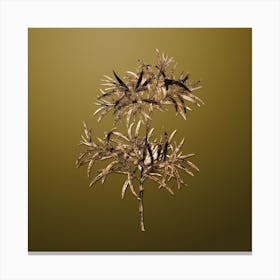 Gold Botanical Bitter Willow on Dune Yellow n.2661 Canvas Print