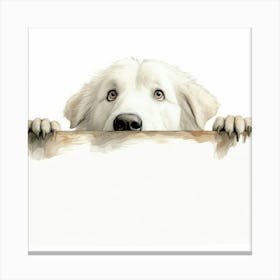 Dog Peeking Over A Sign 8 Canvas Print