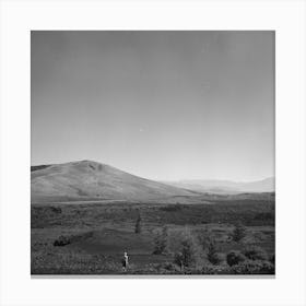 Craters Of The Moon National Monument, Idaho By Russell Lee Canvas Print