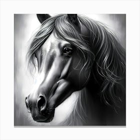 Creative Horse Beauty Illustration Nr 150 Canvas Print