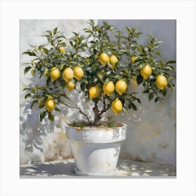 Lemon Pot Plant Canvas Print