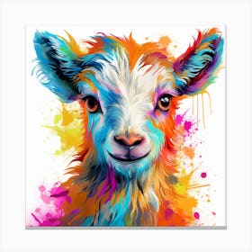 Zodiac Signs - Goat Canvas Print