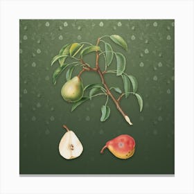 Vintage Pear Botanical on Lunar Green Pattern n.0800 Canvas Print