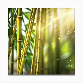 Bamboo Forest Background Canvas Print