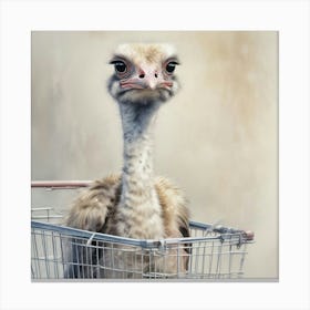 Ostrich In Shopping Cart Canvas Print