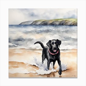 Black Labrador enjoying the waves Canvas Print