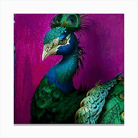 Peacock 2 Canvas Print