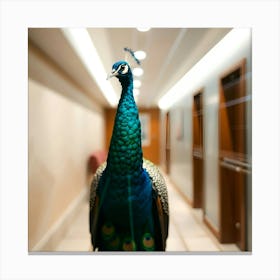 Bright Lens Flare, Blurred Bokeh Effect Peacock Hallway Wall Poster Toile