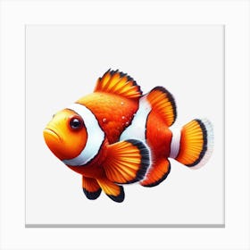 Clownfish Canvas Print