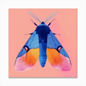 Moth Illustration 2 Canvas Print