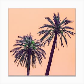 Palm Trees Against A Pink Sky Canvas Print