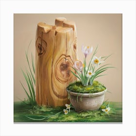 Crocus 1 Canvas Print