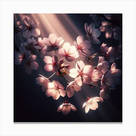 Cherry Blossoms 11 Canvas Print