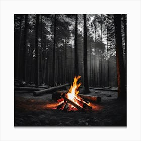 Campfire In The Woods Canvas Print