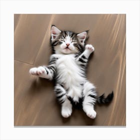 kitten sleeping Canvas Print