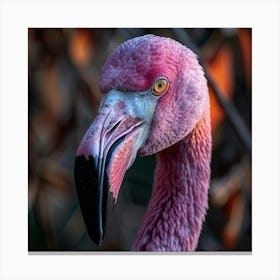 Pink Flamingo 1 Canvas Print