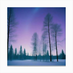 Aurora Borealis Canvas Print