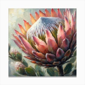Oil Painting King Protea 1 Canvas Print