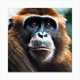 Close Up Of A Monkey 3 Canvas Print