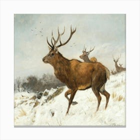 Stag In The Snow Canvas Print