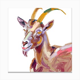 Goat 07 1 Canvas Print