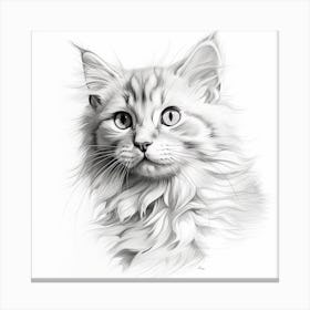 Pencil Drawing Of A Cat Canvas Print