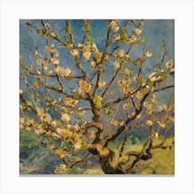 Blossoming Almond Tree 8 Canvas Print