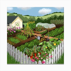 Summer Allotment 1 Canvas Print