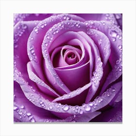 Purple Rose With Water Droplets 1 Canvas Print