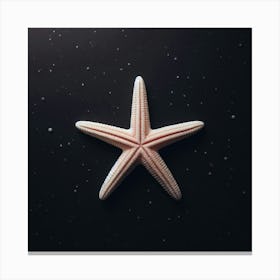 Starfish 5 Canvas Print