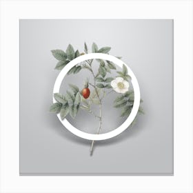 Vintage Mountain Rose Bloom Minimalist Floral Geometric Circle on Soft Gray n.0392 Canvas Print