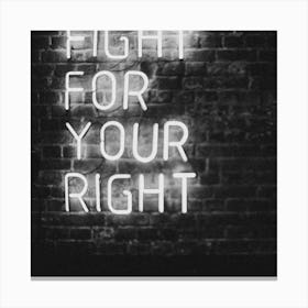 Fight For Your Right Canvas Print