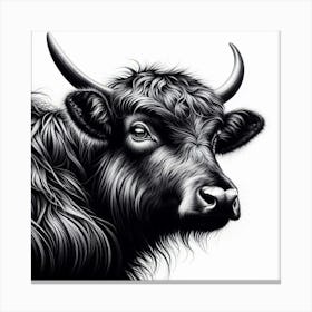 Black And White Cow Canvas Print