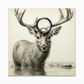 Deer With Magnifying Glass 20 Canvas Print