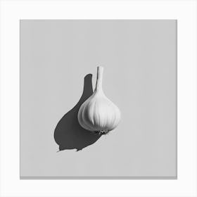 Shadow Of A Garlic Canvas Print