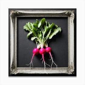 Radish As A Frame (44) Canvas Print