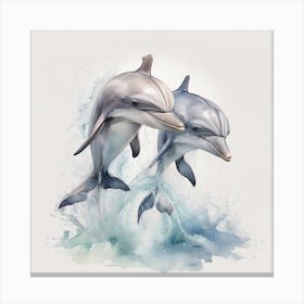 Couple of Dolphins Canvas Print