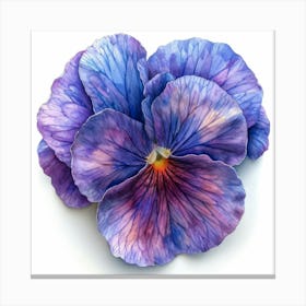 Pansies 3 Canvas Print