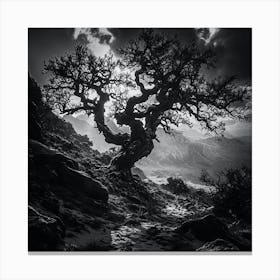 Lone Tree Canvas Print