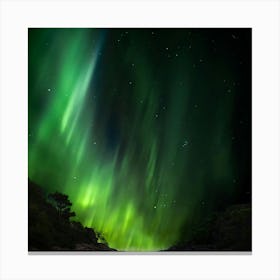 Aurora Borealis 9 Canvas Print