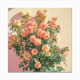 Pink Roses Canvas Print