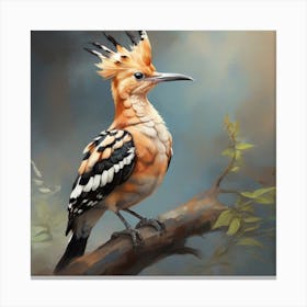 Hoopoe Canvas Print