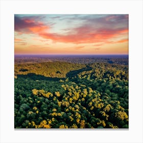 Aerial View Of The Amazon Rainforest At Sunset Canvas Print