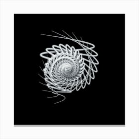 Spiral Spiral Canvas Print