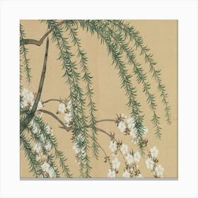 Blossoming Cherry Tree 2 Canvas Print