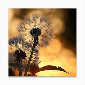 Sunset Dandelion Canvas Print